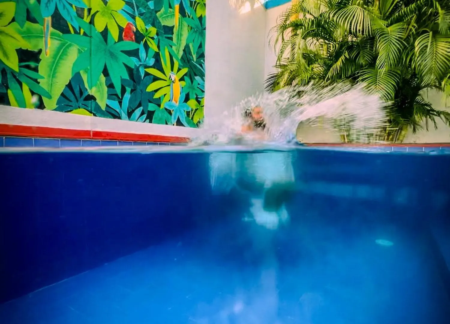 Bed & Breakfast The Blue House Hostel Santa Marta