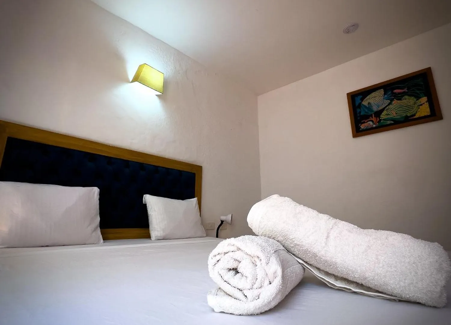 ** Bed & Breakfast The Blue House Hostel Santa Marta  Colombia