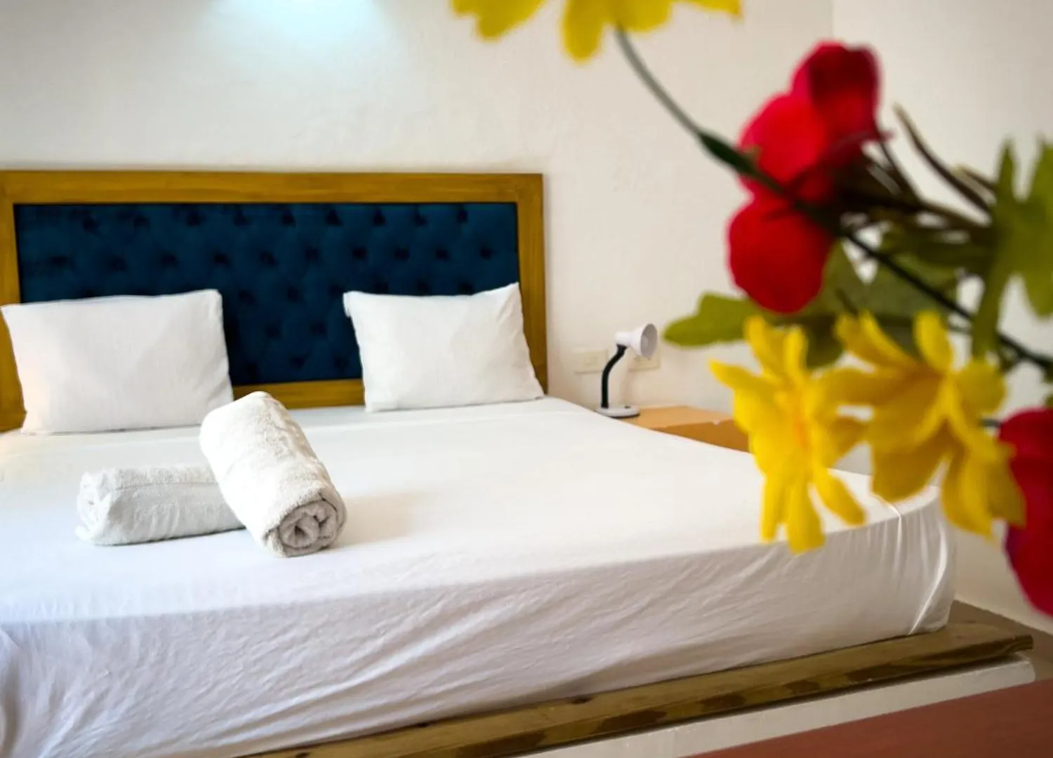 The Blue House Hostel Santa Marta